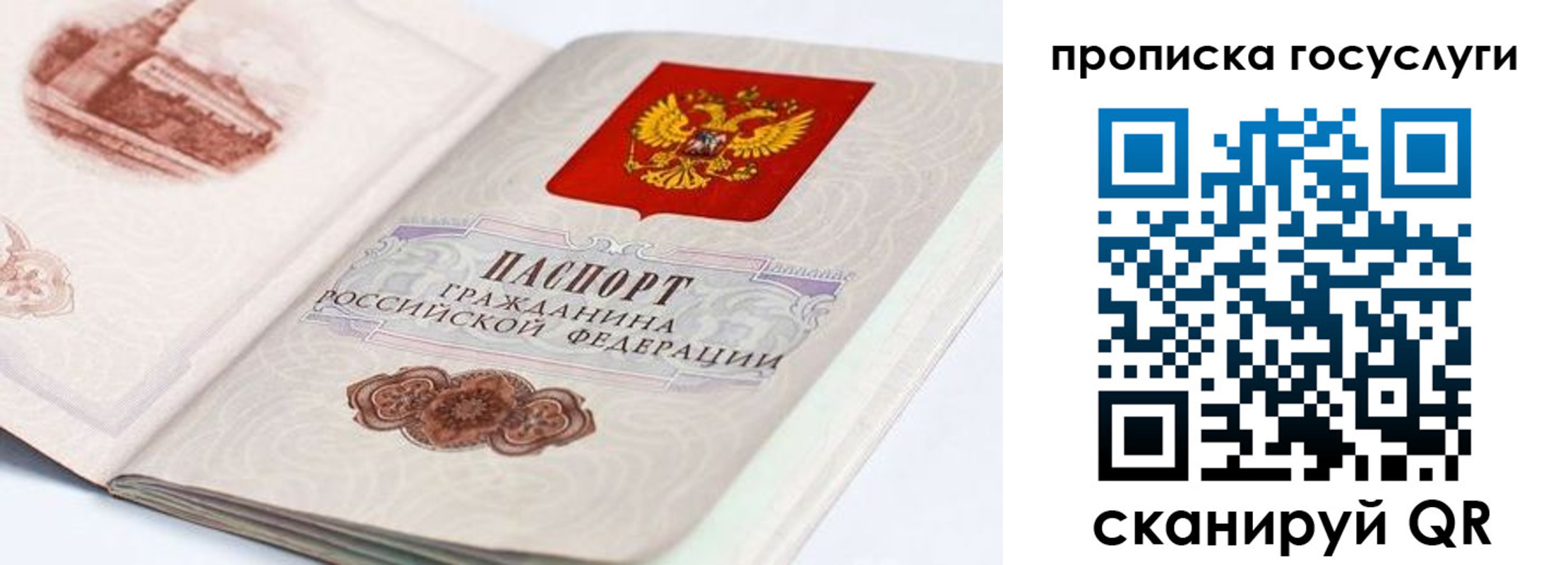 прописка регистрация в Жирновске